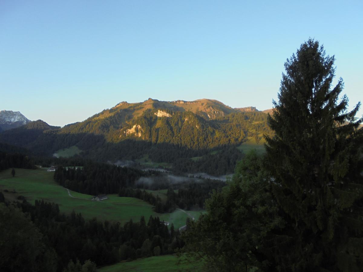 Ferienhaus Nussbaumer Apartment Sibratsgfall ภายนอก รูปภาพ